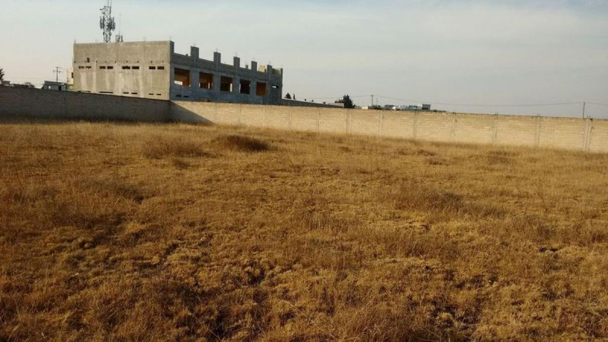 Grundstück in San Buenaventura, Mexico, Nr. 203180