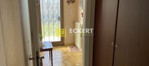 3 chambres Maison à Plobsheim, France No. 78670 5