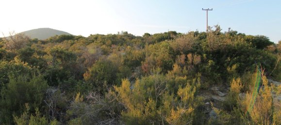 Hotel in Chalkidiki, Greece 19000m², Nr. 6615 3