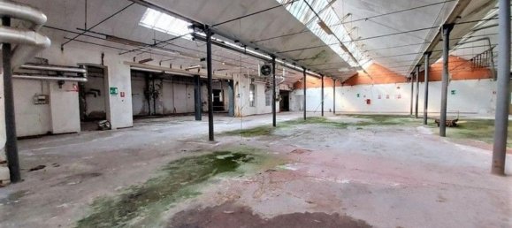 5166m² Warehouse in Coggiola, Italy No. 373030 13