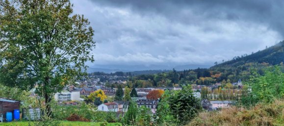  Land in Saint-Die-des-Vosges, France No. 93578 2