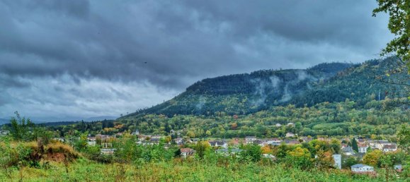  Land in Saint-Die-des-Vosges, France No. 93578 3