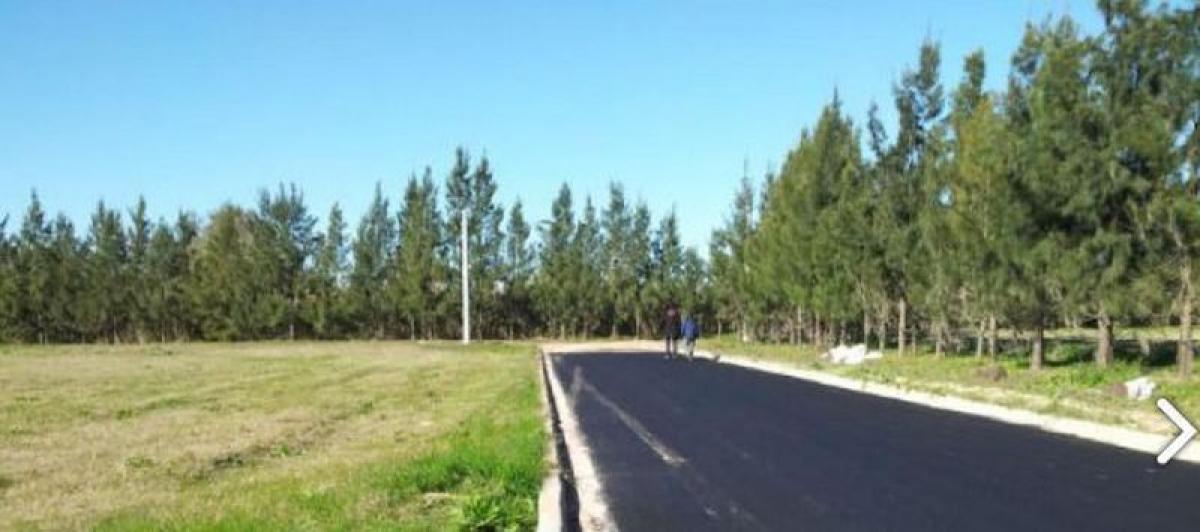  Land in Campo Creado, Argentina No. 34695