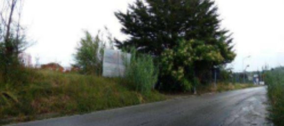 62600m² Land in Maltignano, Italy No. 273742 2