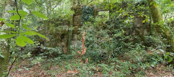 Casa T3 em Pontevedra, Spain N.º 139761 9