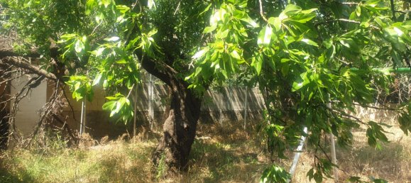 Grundstück in Toulon, France 334m², Nr. 59667 3