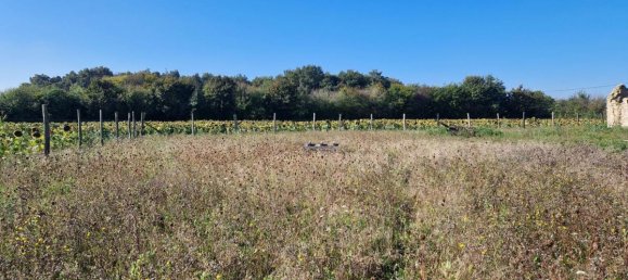 2غرفة منزل في Saint-Branchs, France رقم 230848 4