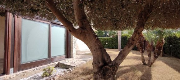 4-Zimmer Haus in Campofelice di Roccella, Italy, Nr. 152994 14