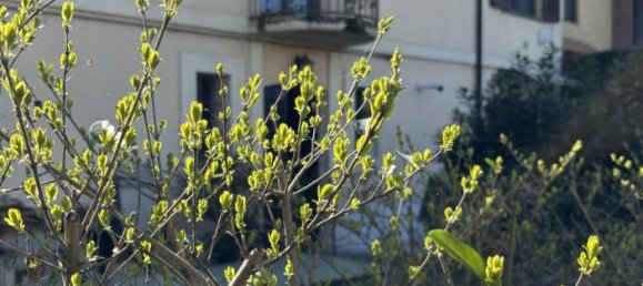 2 rooms Apartment in Torrile, Italy No. 15093 42