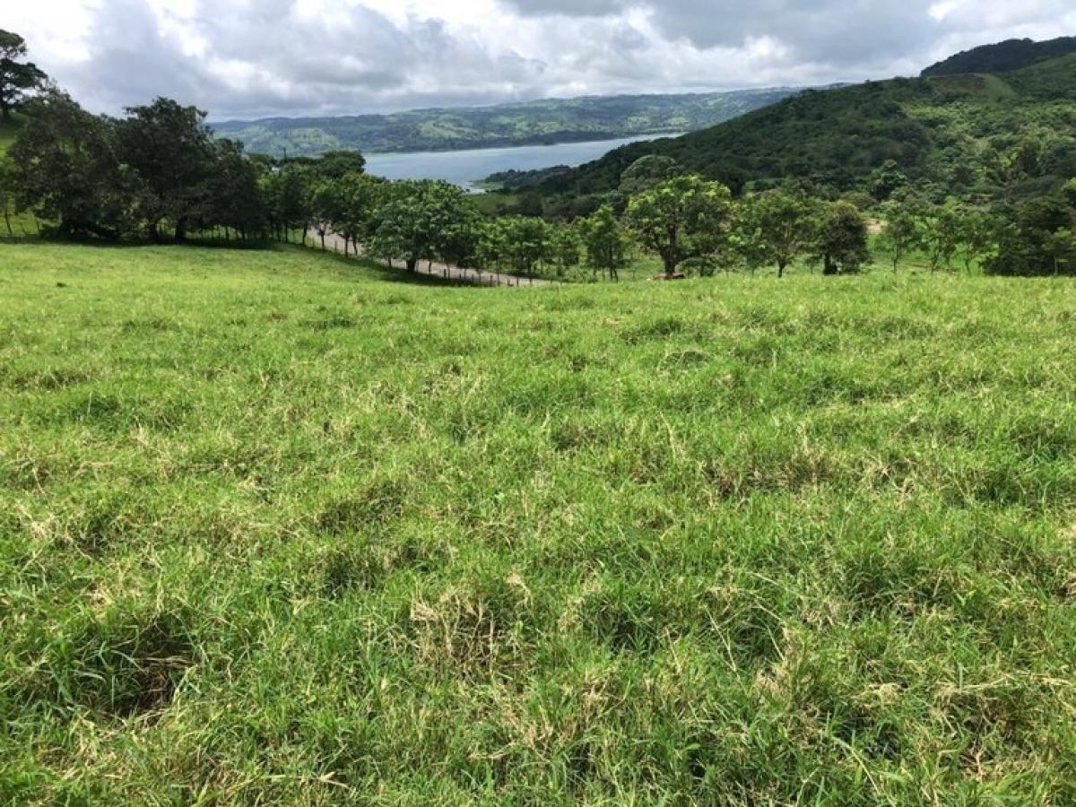 Land in Tilaran, Costa Rica No. 1503