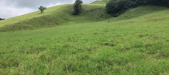  Land in Tilaran, Costa Rica No. 1503 5