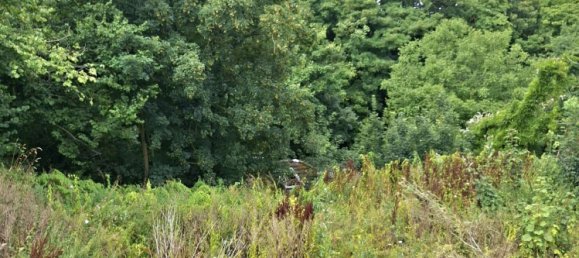 Terreno en Duren, Germany No. 222423 4