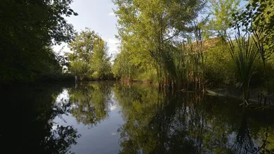 3 Schlafzimmer Haus in Stegersbach, Austria, Nr. 135373