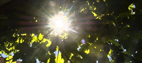 3 Schlafzimmer Haus in Stegersbach, Austria, Nr. 135373 28