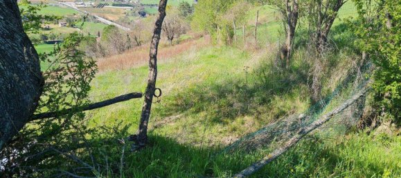 7 rooms House in Montiano, Italy No. 15962 17