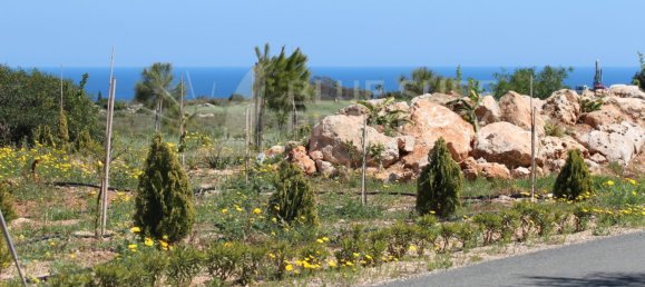 5 bedrooms Villa in Protaras, Cyprus No. 9248 26