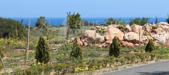 5 bedrooms Villa in Protaras, Cyprus No. 9248 26