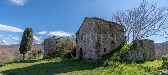 10-salle Villa à Arezzo, Italy No. 279740 24