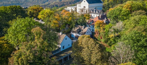 9 rooms Villa in Dobling, Austria No. 112263 6