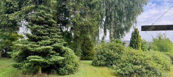 5-salle Maison à Saale-Orla, Germany No. 279501 5