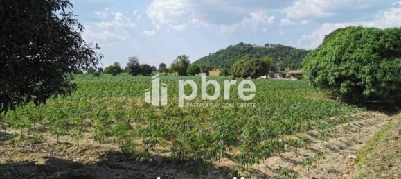  Commercial property in Pattaya, Thailand No. 16177 3