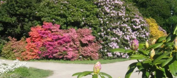 Квартира с 2 спальнями в Росток, Германия № 138884 6