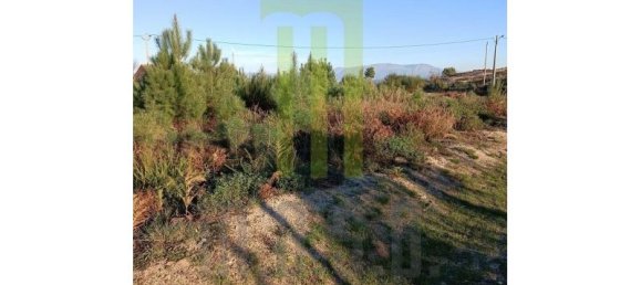  Land in Travanca de Lagos, Portugal No. 198895 4