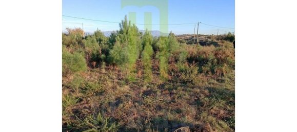  Land in Travanca de Lagos, Portugal No. 198895 3