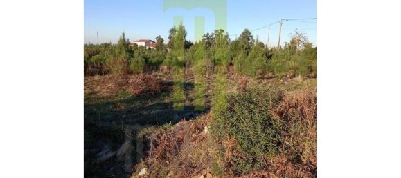  Land in Travanca de Lagos, Portugal No. 198895 2