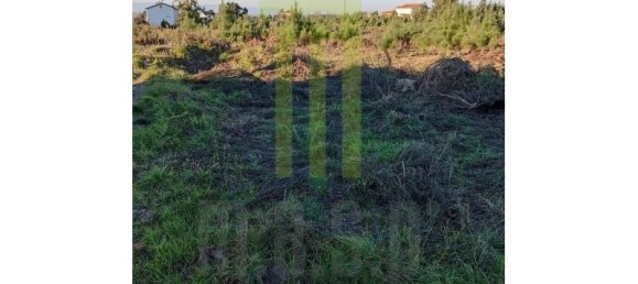  Land in Travanca de Lagos, Portugal No. 198895 5