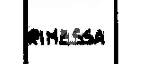 1 Schlafzimmer Wohnung in San Giacomo delle Segnate, Italy, Nr. 322969 22