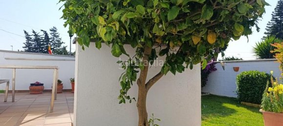 2 Schlafzimmer Haus in La Barrosa, Spain, Nr. 169312 35