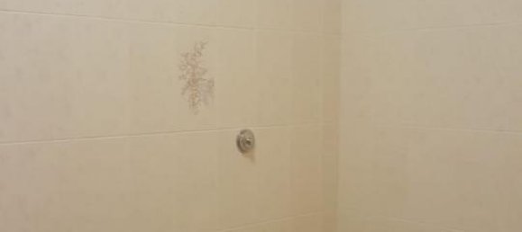 5 rooms House in Figline e Incisa Valdarno, Italy No. 233647 14