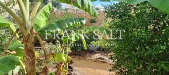 Moradia em banda T2 em Msida, Malta N.º 2358 5