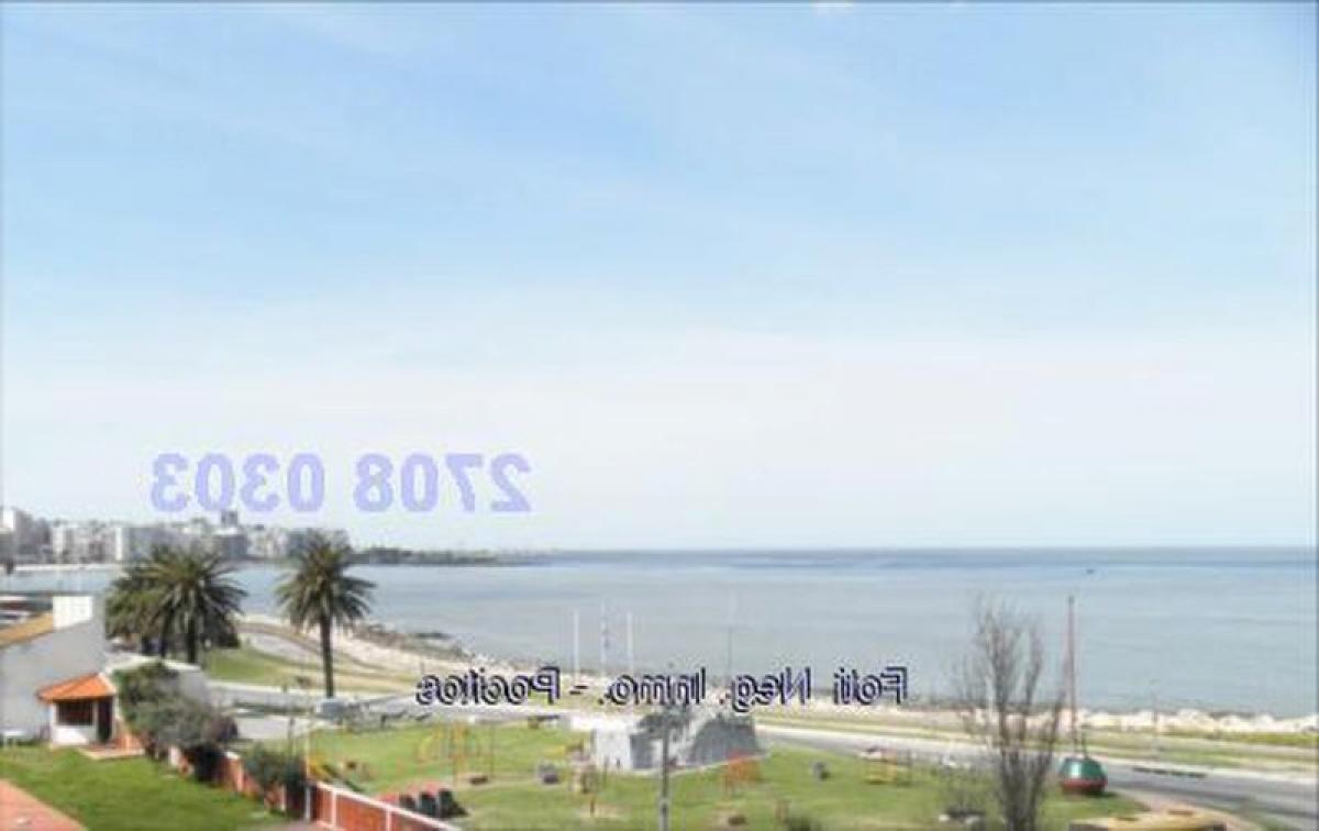 3 bedrooms Apartment in Montevideo, Uruguay No. 4989