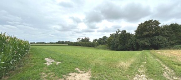  قطعة أرض في Unterallgau, Germany 10460متر مربع رقم 319469 2