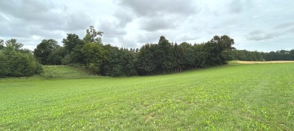  قطعة أرض في Unterallgau, Germany 10460متر مربع رقم 319469 3