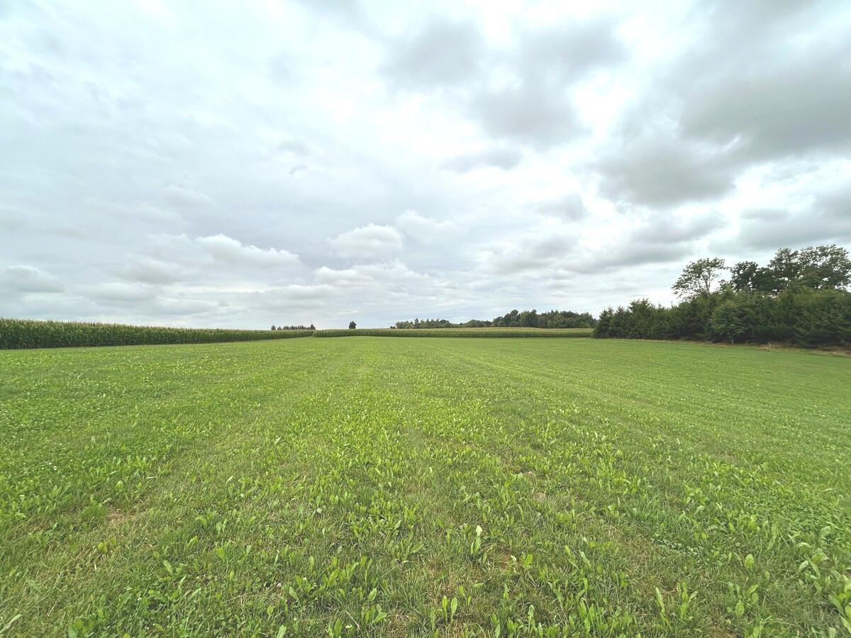  قطعة أرض في Unterallgau, Germany 10460متر مربع رقم 319469