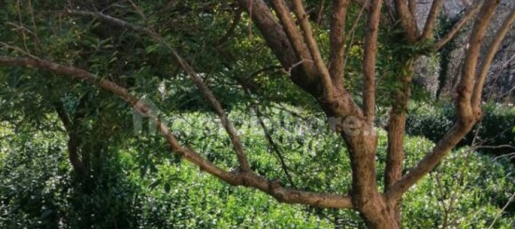 3 غرف نوم منزل في Avegno, Italy رقم 287372 23