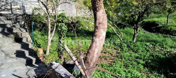 3 غرف نوم منزل في Avegno, Italy رقم 287372 15