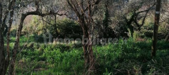 3 غرف نوم منزل في Avegno, Italy رقم 287372 24