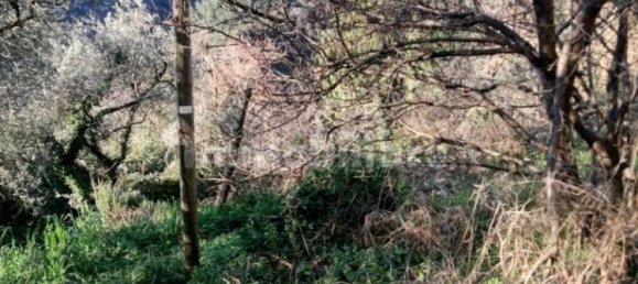 3 غرف نوم منزل في Avegno, Italy رقم 287372 26