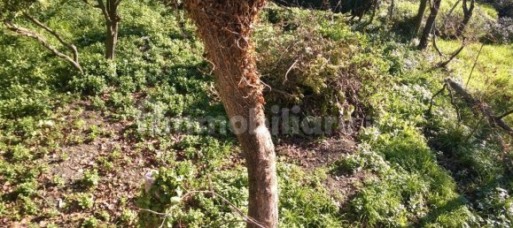 3 غرف نوم منزل في Avegno, Italy رقم 287372 20