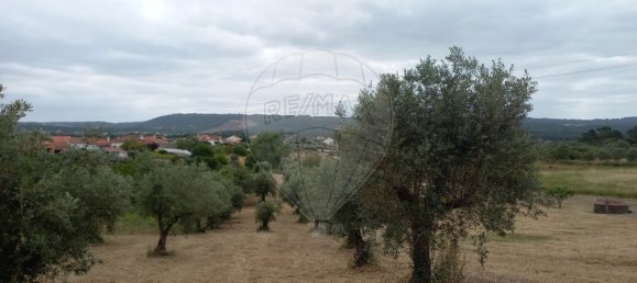2 Schlafzimmer Haus in Tomar, Portugal, Nr. 182157 8