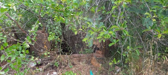 2 Schlafzimmer Haus in Tomar, Portugal, Nr. 182157 4