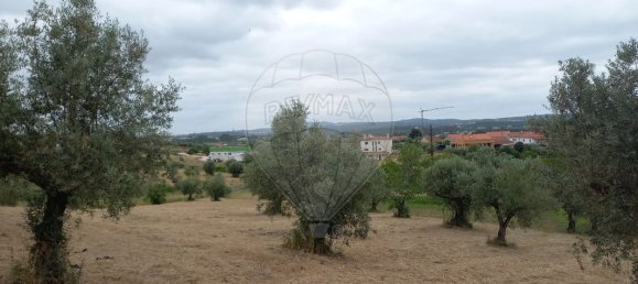 2 Schlafzimmer Haus in Tomar, Portugal, Nr. 182157 6