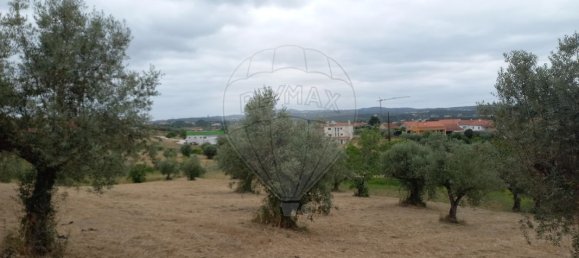 2 Schlafzimmer Haus in Tomar, Portugal, Nr. 182157 7