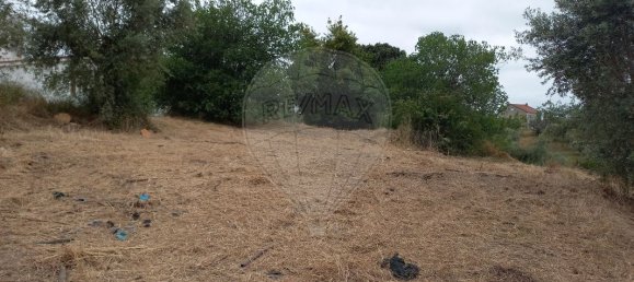 2 Schlafzimmer Haus in Tomar, Portugal, Nr. 182157 9