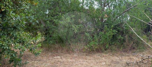 2 Schlafzimmer Haus in Tomar, Portugal, Nr. 182157 5