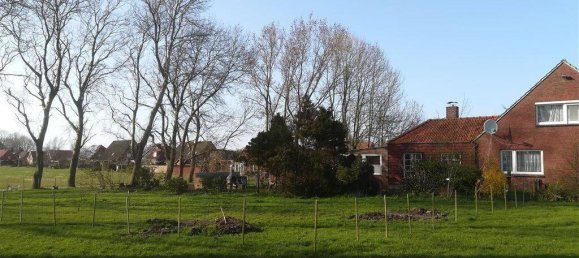 15غرفة منزل في Aurich, Germany رقم 212562 4